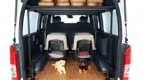 Dogs sitting in back of van