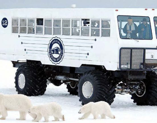 Electric Polar Bus