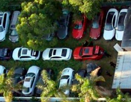 Cars parked in a field