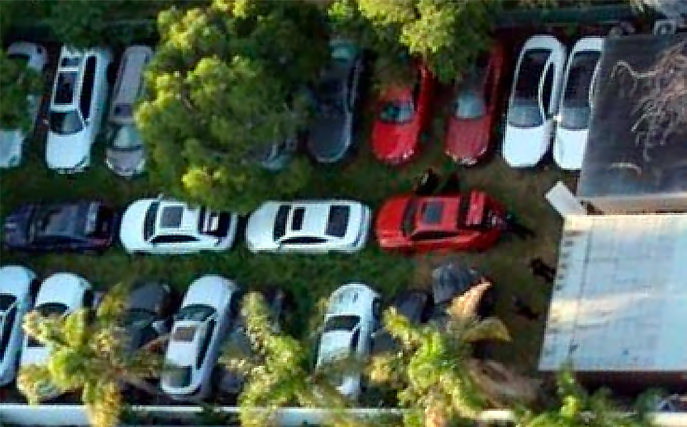 Cars parked in a field